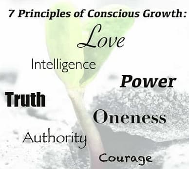 7 principles of conscious growth text over sprouting seedling image