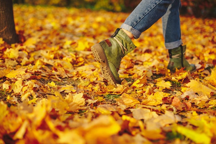 A person walking through golden autumn leaves on a forest path, symbolizing mindfulness, exploration, and inner peace.