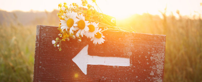 Live Advice Expert Categories - Professional Live Advice You Can Trust!
