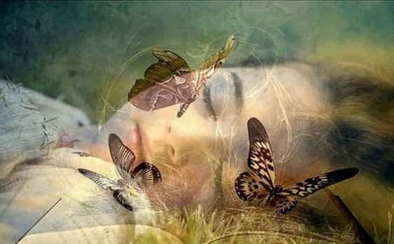 Dreams are our inner truth, reflecting what we feel and believe beneath the surface.