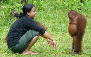Woman kneeling in the grass smiling at a young orangutan, symbolizing compassion, empathy, and mindful connection with all living beings.