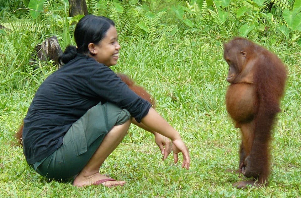 Woman kneeling in the grass smiling at a young orangutan, symbolizing compassion, empathy, and mindful connection with all living beings.