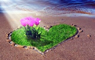 A heart-shaped patch of bright green grass and soft pink tulips at the edge of the sea, illuminated by morning sunlight, symbolizing faith, patience, and the unfolding of big miracles.