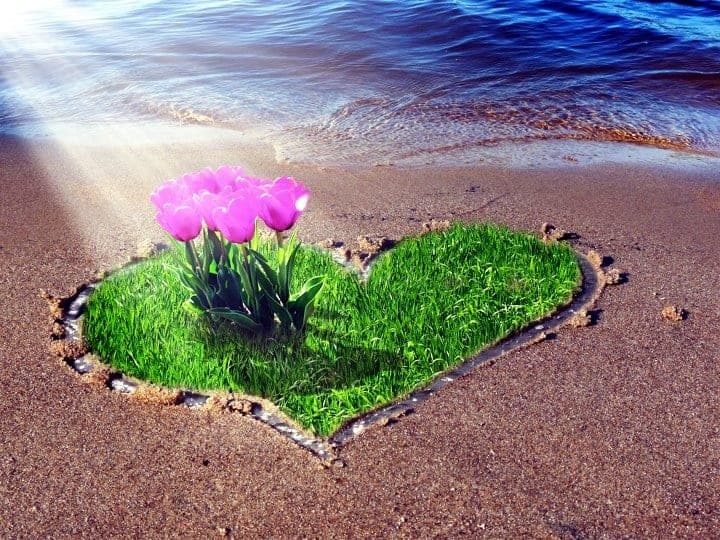 A heart-shaped patch of bright green grass and soft pink tulips at the edge of the sea, illuminated by morning sunlight, symbolizing faith, patience, and the unfolding of big miracles.
