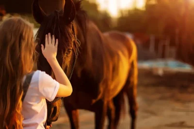 Child gently touching a horse at sunset during equine-assisted therapy